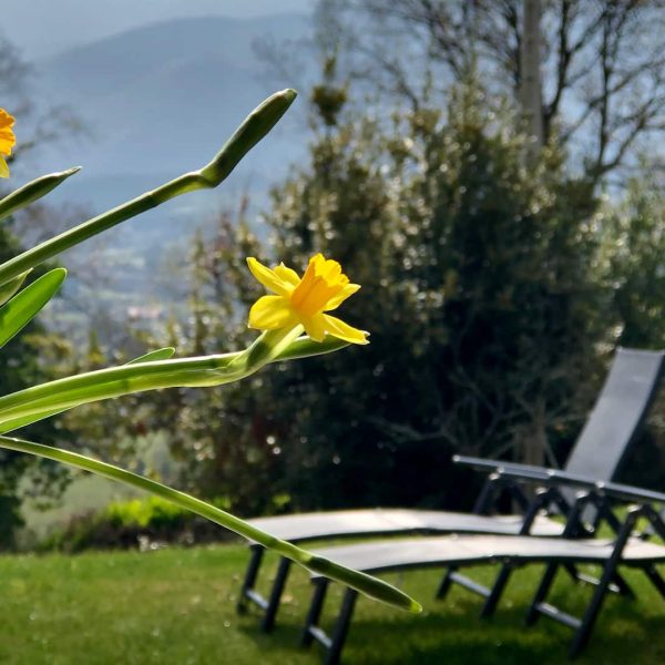 La casina del prau detalle del jardin