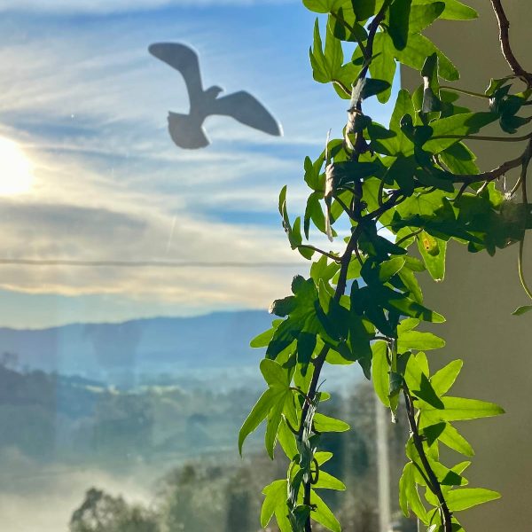 Sierra del Sueve La casina del Prau